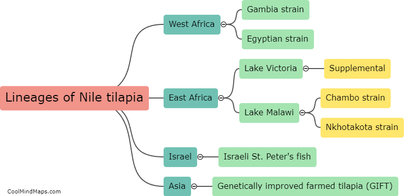 What are the different lineages of Nile tilapia?