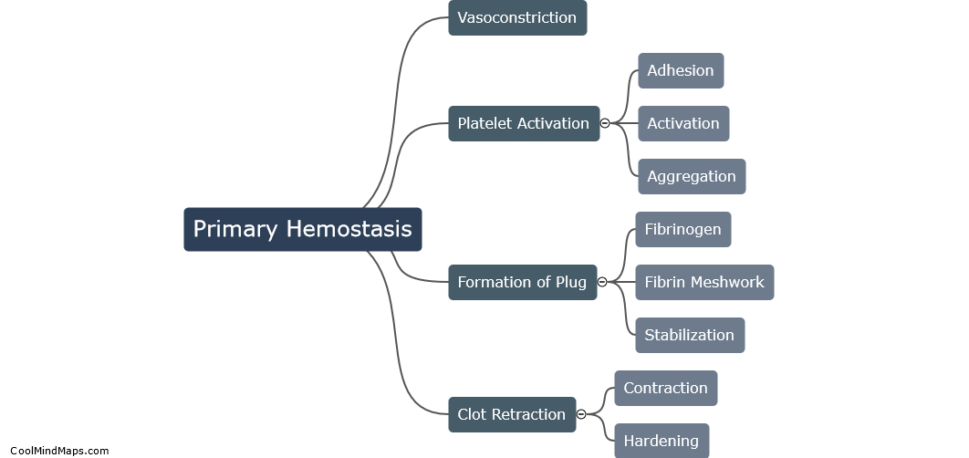 What are the steps of primary hemostasis?