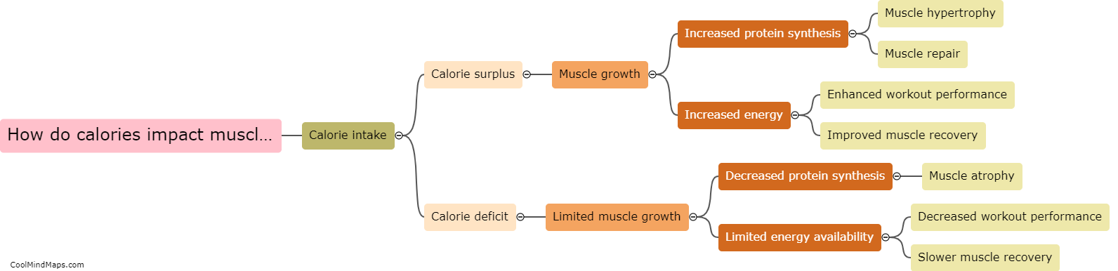 How do calories impact muscle growth?