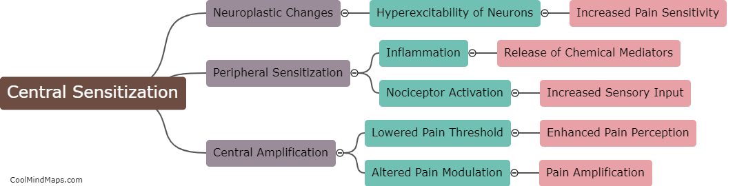 What is the role of central sensitization in chronic pain?