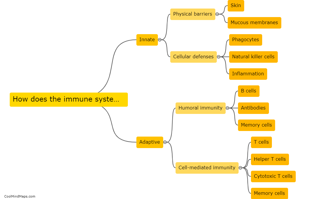 How does the immune system work?
