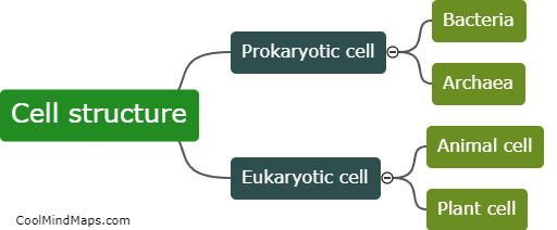 What is the cell structure?