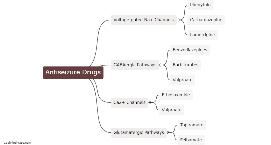 What are the mechanisms of action of antiseizure drugs?