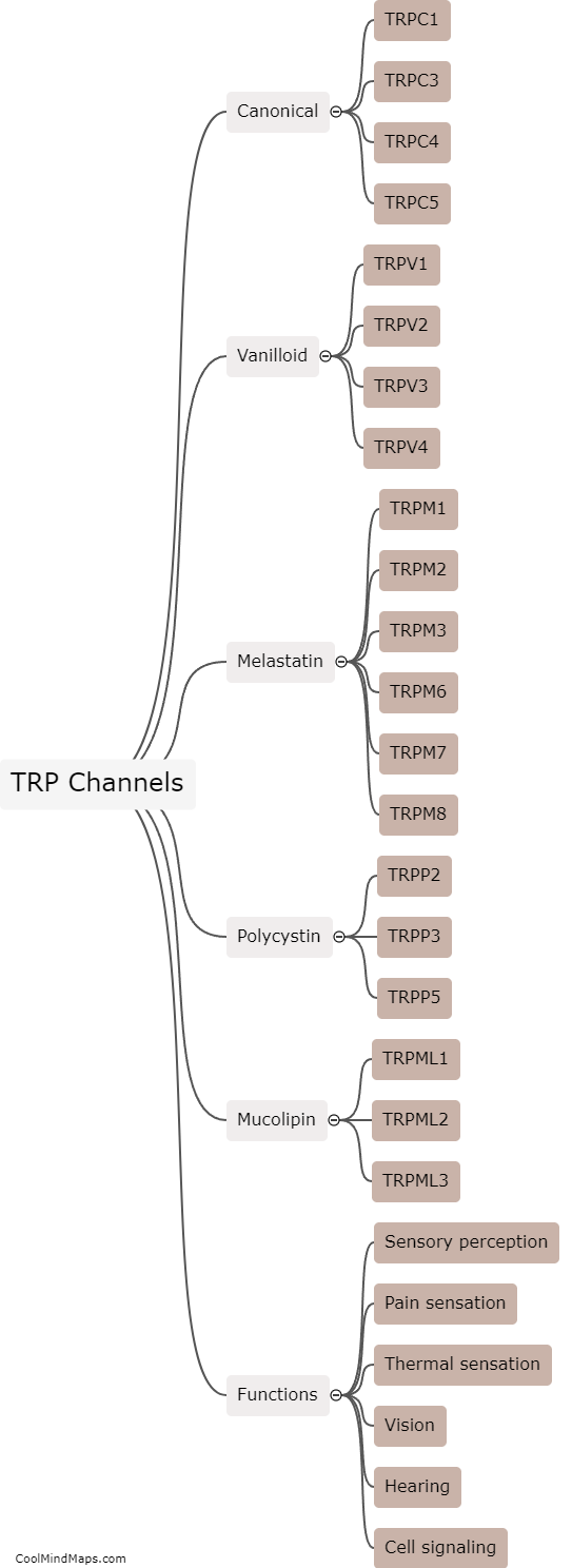 What are the different types of TRP channels and their functions?
