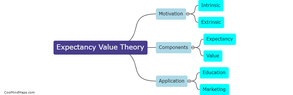 What is expectancy value theory?
