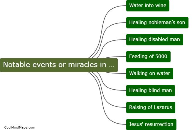 What are the notable events or miracles in the Gospel of John?