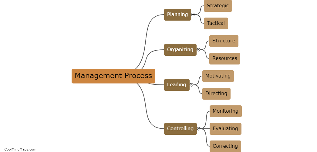 What is the management process?