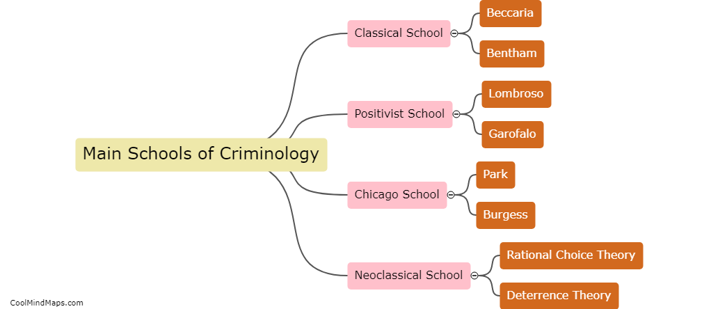 What are the main schools of criminology?