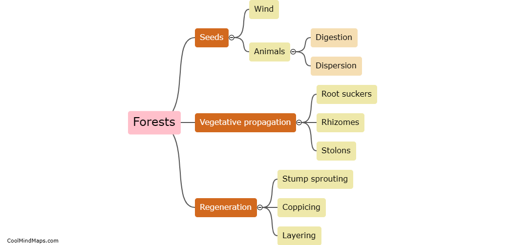 How do forests propagate without human intervention?