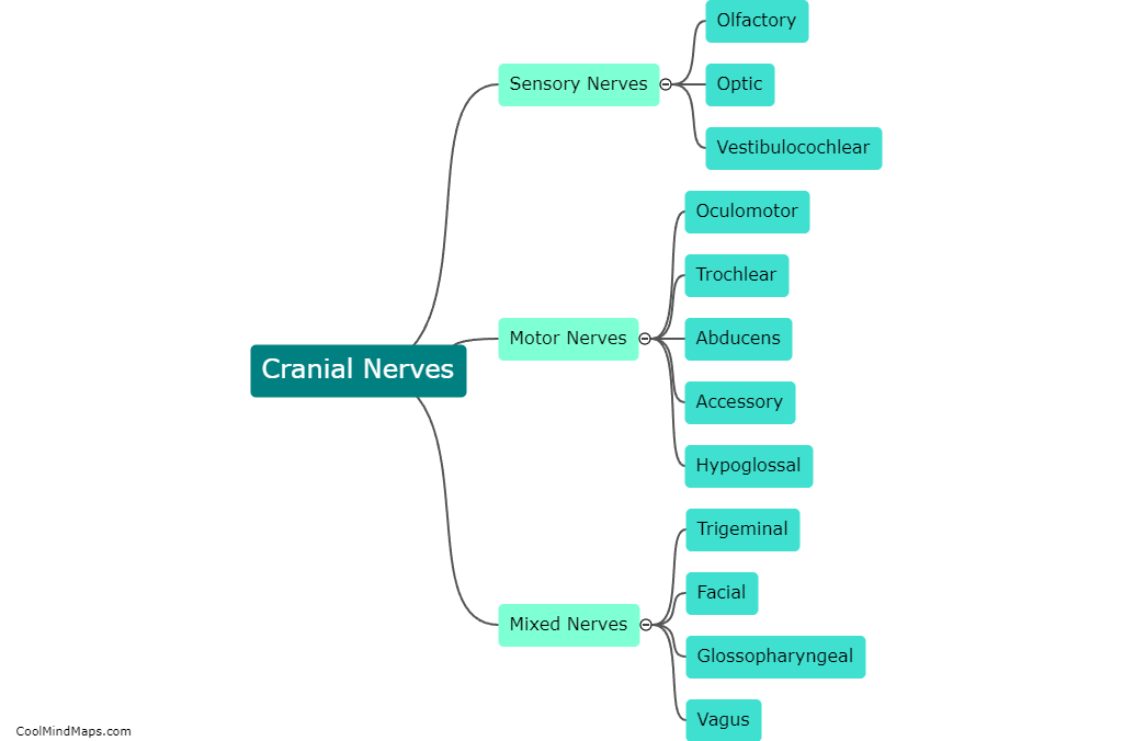 What are the 12 cranial nerves?