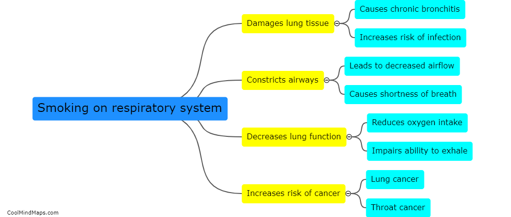 What are the detrimental effects of smoking on the respiratory system?