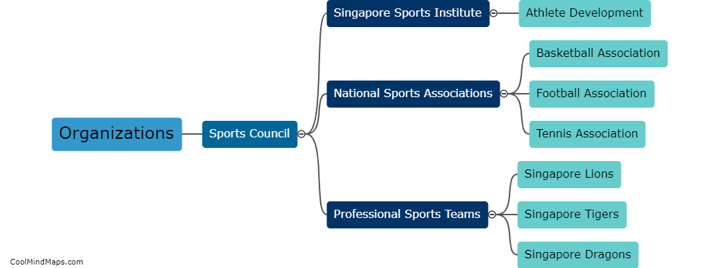 What organizations support professional sports in Singapore?