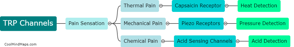 How are TRP channels involved in pain sensation?