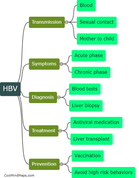 What is the hepatitis B virus (HBV)?