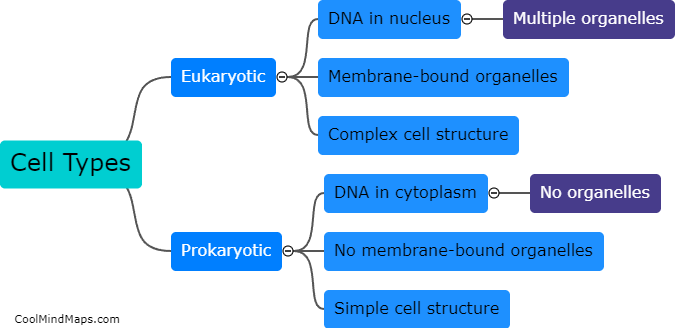 How do eukaryotic cells differ from prokaryotic cells?