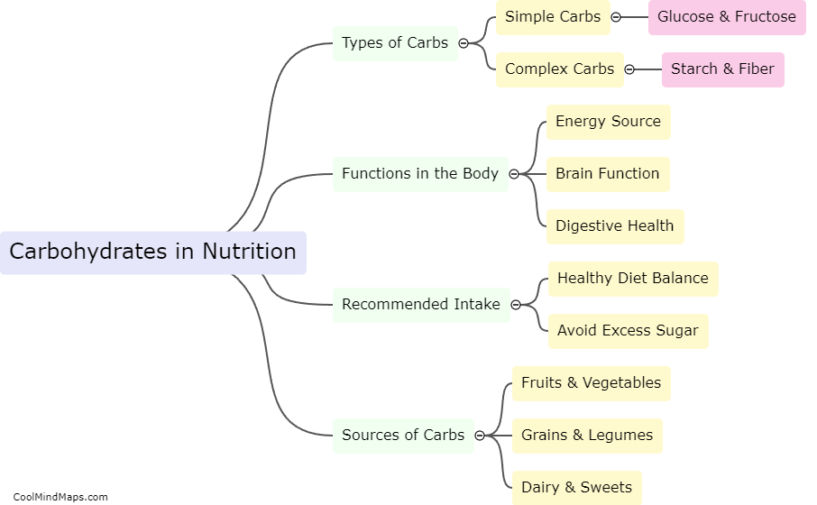What is the role of carbohydrates in human nutrition?