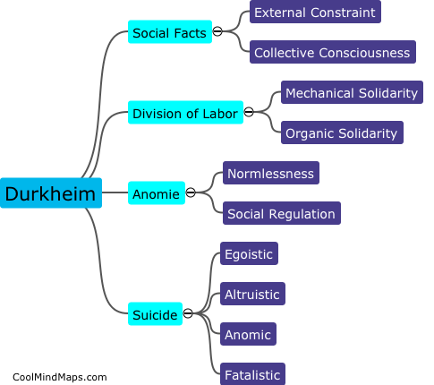 What are the key ideas in Durkheim's thinking?