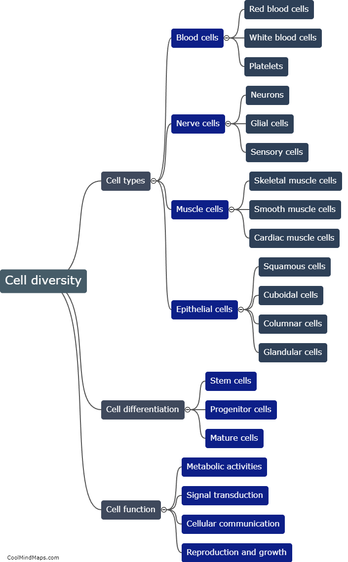 What is cell diversity?