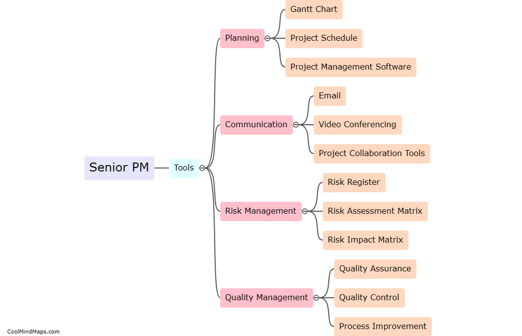 What tools are used by the Senior Project Manager (SENIOR PM)?