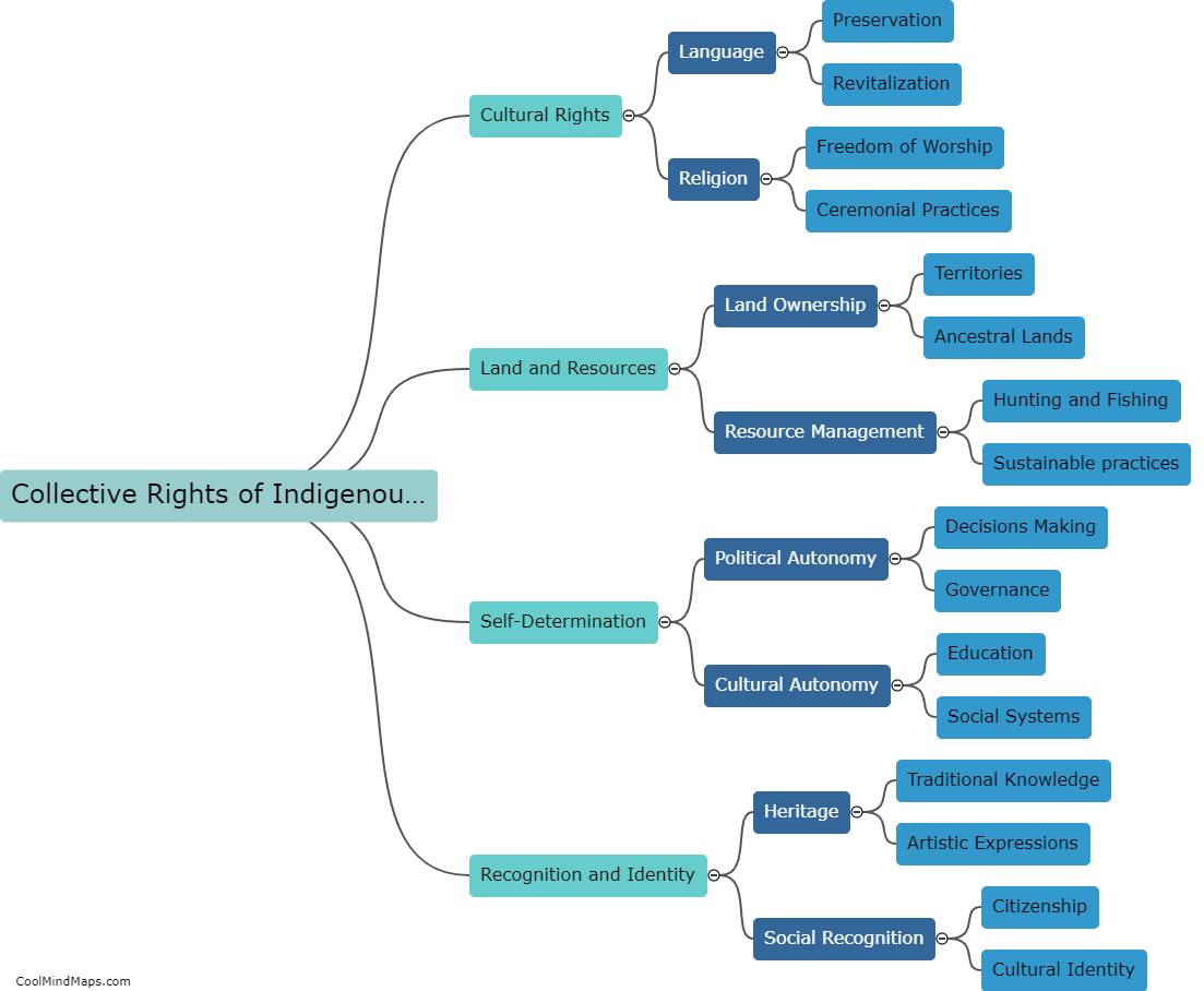 What are the collective rights of indigenous peoples?