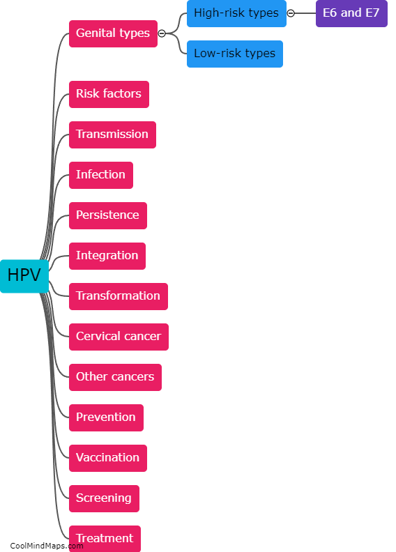 How does HPV cause cervical cancer?