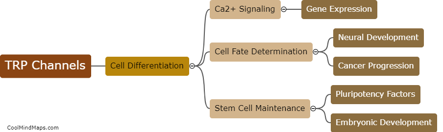 What is the role of TRP channels in cell differentiation?