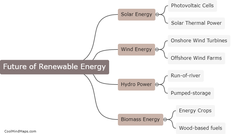 What is the future of renewable energy?