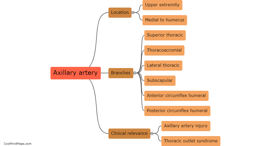 What is the axillary artery?