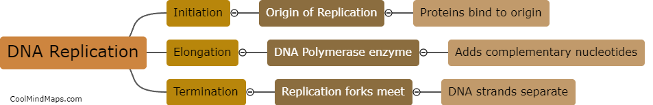How does DNA replicate?