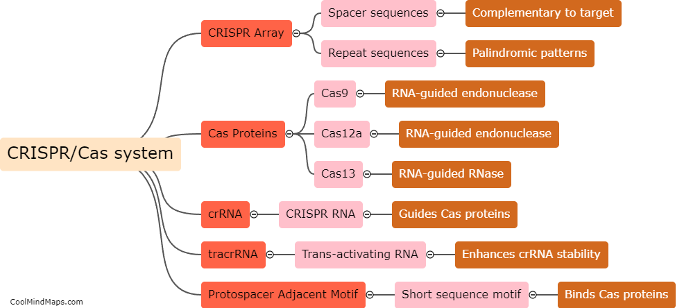 What are the components of the CRISPR/Cas system?