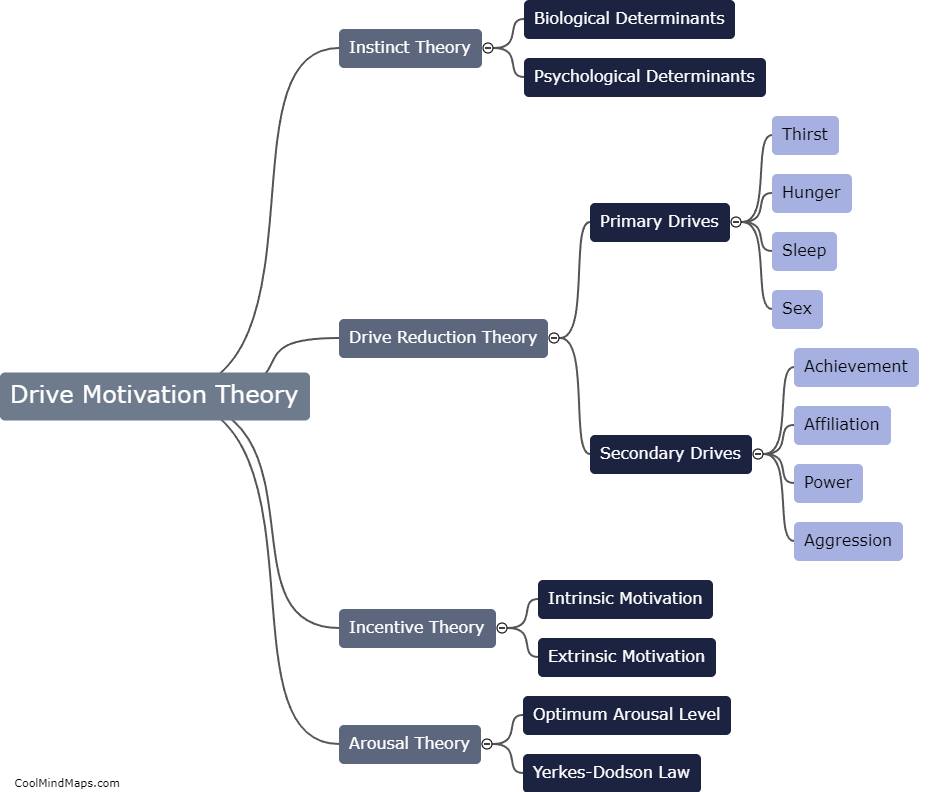 What is drive motivation theory?