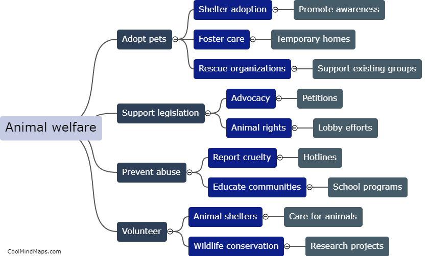 How can I make a positive impact on animal welfare?