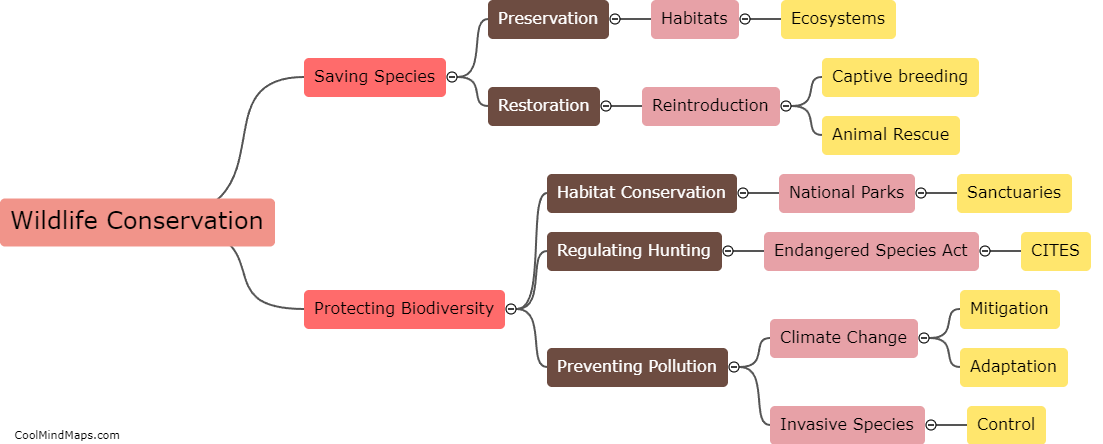 What is wildlife conservation?