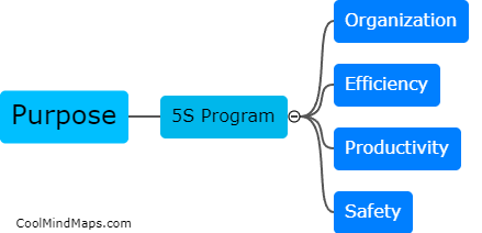 What is the purpose of the 5S program?