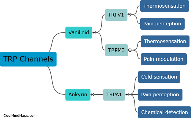 What are TRPV1, TRPA1, and TRPM3 channels?