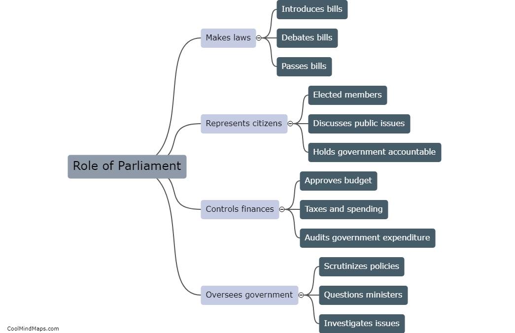 What is the role of the parliament?