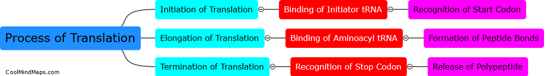 What is the process of translation?