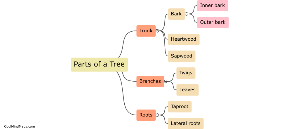 What are the parts of a tree?