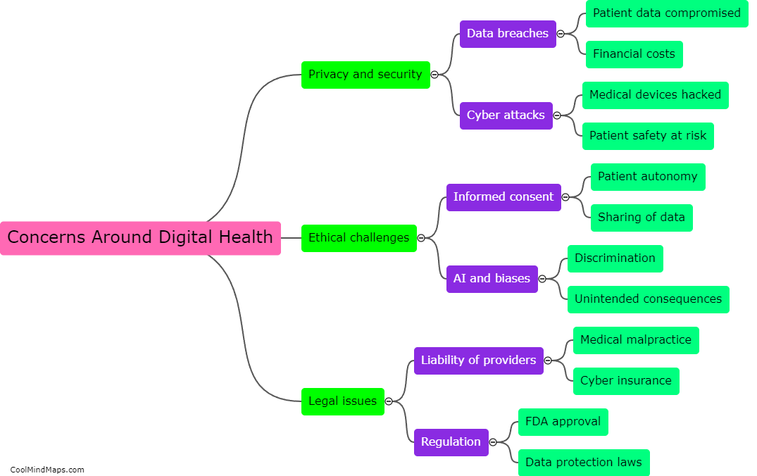What are the concerns around digital health?