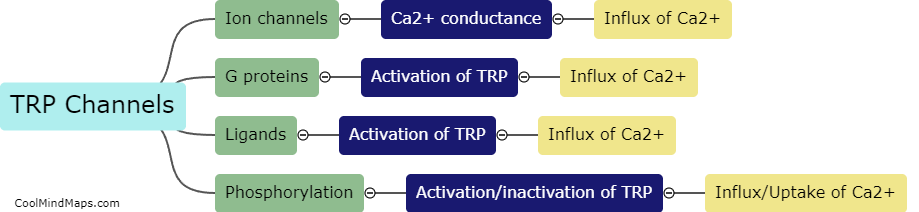 How do TRP channels contribute to intracellular calcium signaling?
