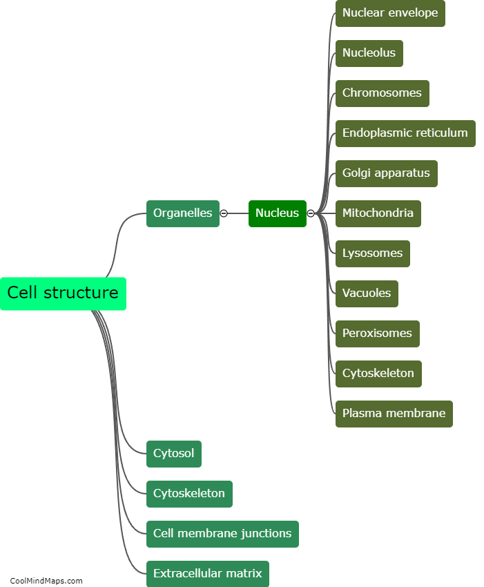 What is the overall structure of a eukaryotic cell?