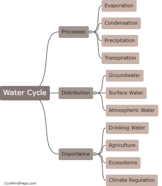 What is the water cycle?
