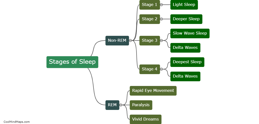 What are the stages of sleep?