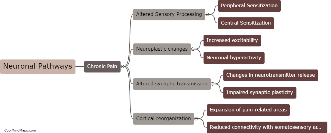 What changes occur in neuronal pathways in chronic pain?